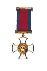 Distinguished Service Order, Colonel C B Stokes, 3rd Skinner's Horse, 1919