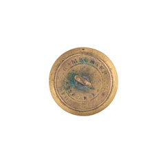 Button, 29th Regiment of Madras Native Infantry, 1824-1885