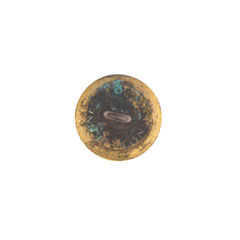 Button, 29th Regiment of Madras Infantry, 1885-1893