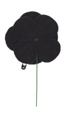 Black Poppy Rose lapel badge, 2015 (c)