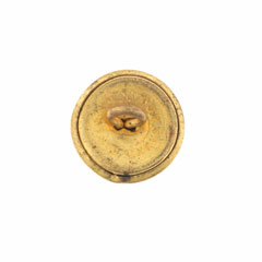 Button, 2nd Lancers (Gardner's Horse), 1903-1922