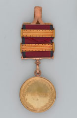 Army Gold Medal for Pyrenees with two clasps: Albuhera, Nivelle