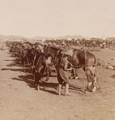'Horse Picket of Royal Horse Artillery - Getting ready for Attack on Colesberg', 1899 (c)