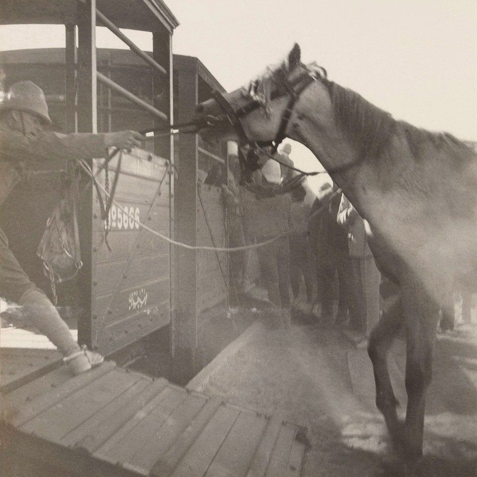 A lancer persuading a horse to board a railway truck, Sudan campaign ...