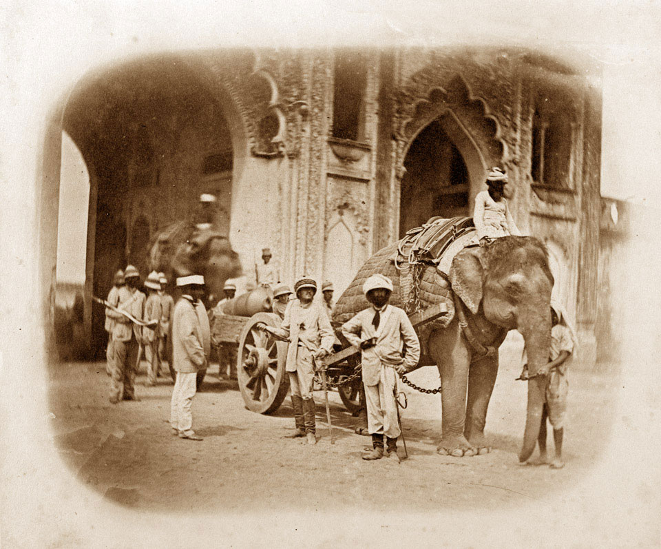 Elephant pulling a field gun, Indian Mutiny, 1858