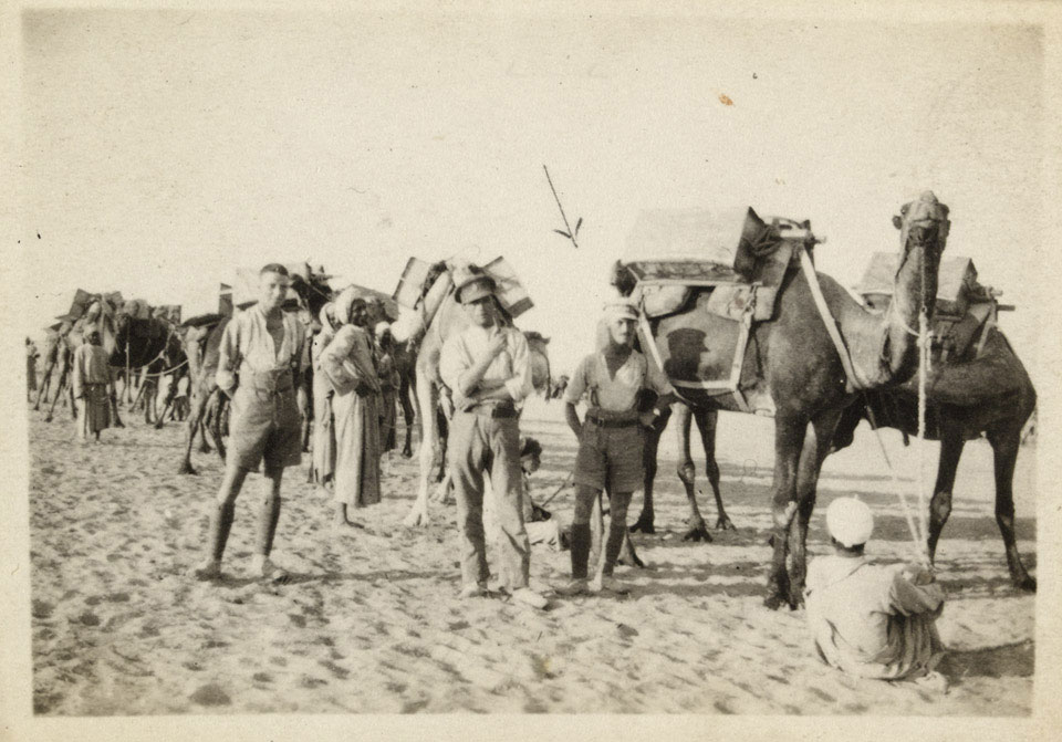 Joseph Egerton and British soldiers with members of the Egyptian Camel Transport Corps, carrying water for troops in the desert, Sheik Nakhrur, Palestine, 1917