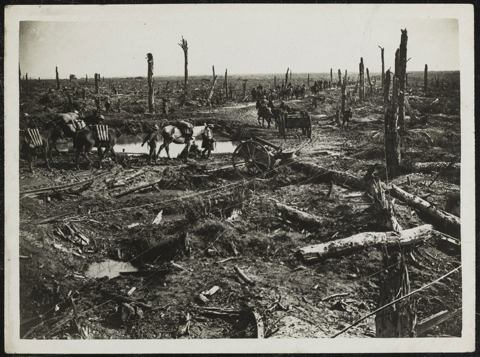 Ammunition convoy, 1916 (c)