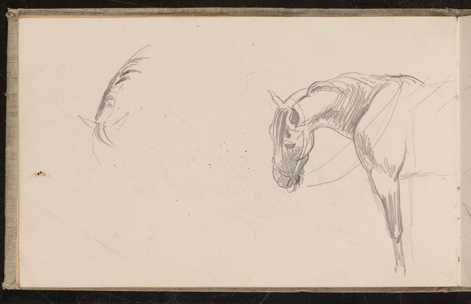 Studies of horses, 1893 (c) | Online Collection | National Army Museum ...