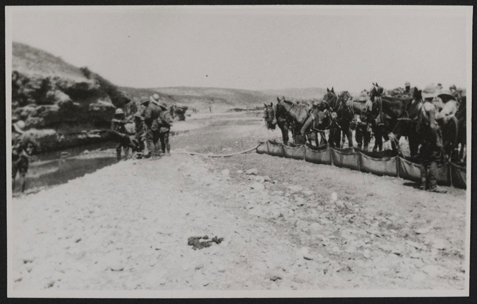 Royal Buckinghamshire Hussars watering their horses, 1915 (c)
