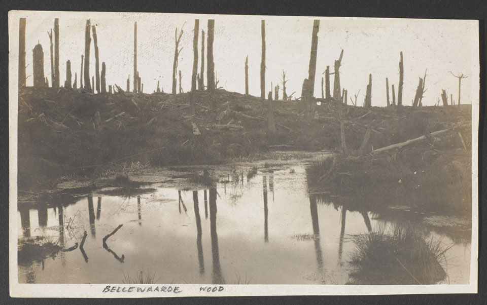 Bellewaarde Wood near Hooge, 1915