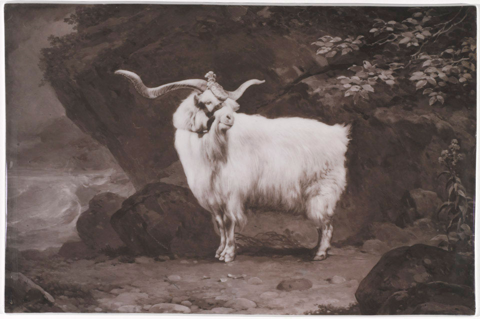 'Billy', regimental goat of the 2nd Battalion Royal Welsh Fusiliers, earthenware plaque, 1955 (c)