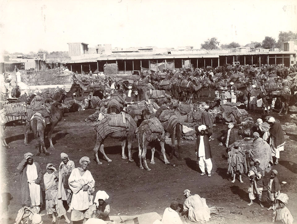'Camel Market. Peshawar City', North West Frontier of India, 1905 (c)