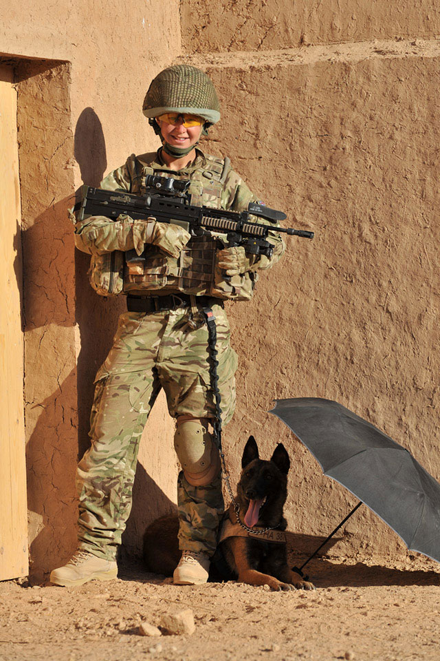 102 Theatre Military Working Dog Support Unit, Operation HERRICK 15, Afghanistan,  2011