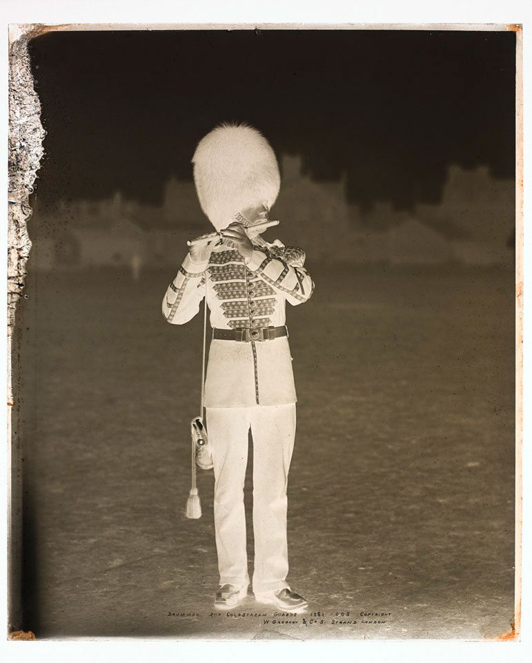 Drummer 2nd Battalion Coldstream Guards Glass Negative 1895 C   259180 