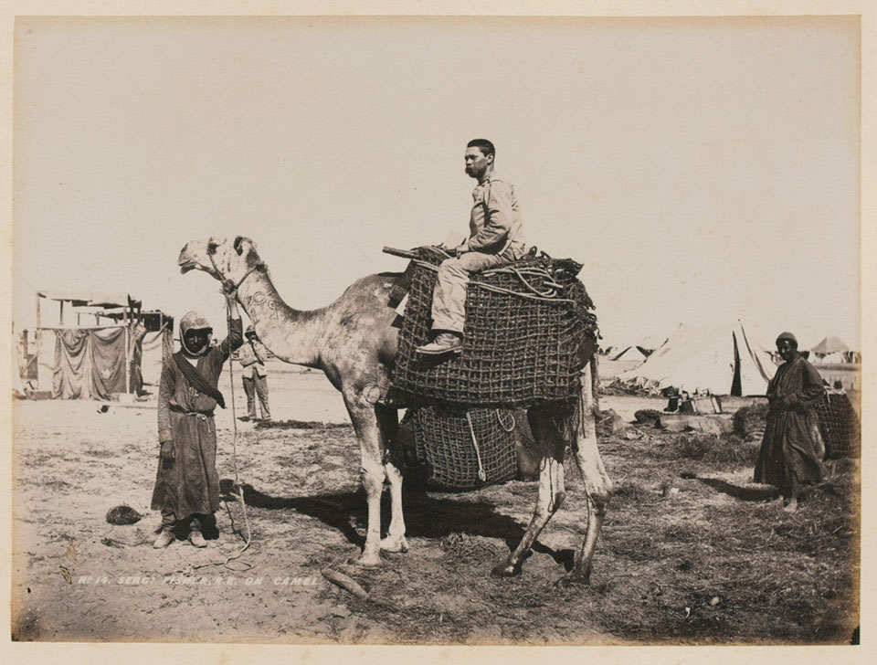 'No. 14 Sergt. Fisher, R.E. on camel', 1885 (c)