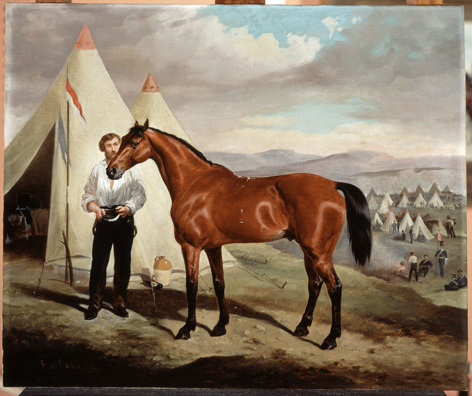 Sir Briggs, horse of Lord Tredegar, in camp in the Crimea, 1854
