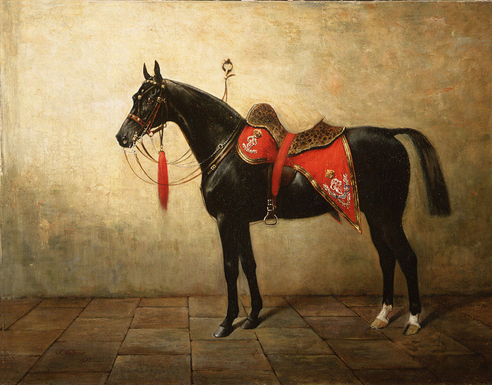 Black Prince, 1903